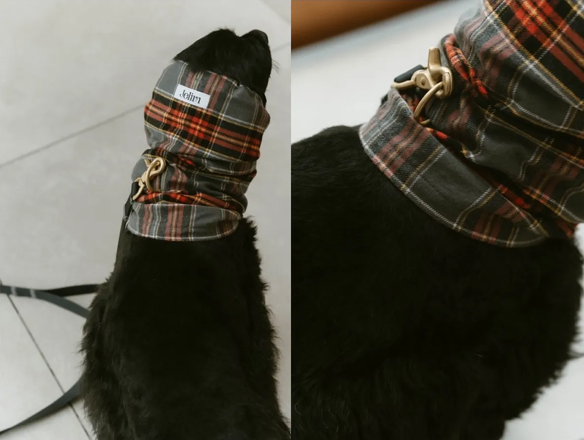 Jelim 犬用スヌードの装着イメージ。黒い犬が赤とグレーのチェック柄スヌードを首に着用し、リードを取り付けられる仕様を示す